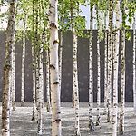 Greulich Design & Boutique Hotel