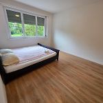 Large Flats, Zurich City Center - Sche
