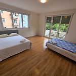 Large Flats, Zurich City Center - Sche