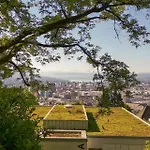 Helvetia 2 Zimmer Apartment Mit Parkplatz