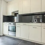 Ema House Serviced Aussersihl Apartment Zurich