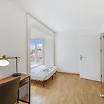 Spacious Hoting Zurich