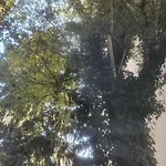 Sonnegg Guest Rooms Inh M Bisegger