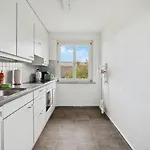 Apartment Altwiesenstrasse 144 Zurich