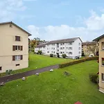 Apartment Altwiesenstrasse 144