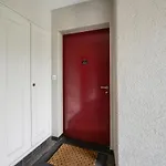 Altwiesenstrasse 144 Apartment