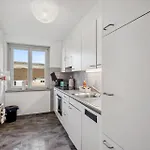 Altwiesenstrasse 144 *