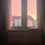Cozy Apartment