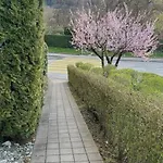 Feel Good With Forest View Apartment
