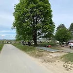 City Feel Good With Forest View