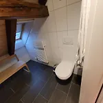 Le Bijou Lintheschergasse / Hb Apartment Zurich