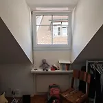 Cosy Apartment In The Heart Of Zuerich