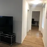 Apartment Fantastic 2br Flat Close To Paradeplatz - Canal2 Zurich