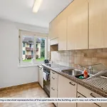 Charming Apartments, Just 27 Minutes To Center * Zurich