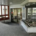 Executive Suite-business Edition Apartment Zurich