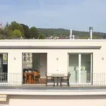 Terrific Penthouse In The City Center - Hoesch 6