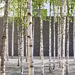Greulich Design & Boutique Hotel