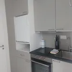 El Destino Apartment
