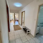 Simple And Warm On Koeschenruetistrasse Apartment *
