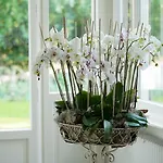 Signau House & Garden Boutique 4* Zurich