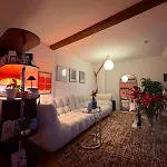 Homestay Cosy In Attic Flat In The Center Of Zurich