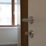 Golden Harmony Apartment In Zurich Oerlikon