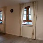 Golden Harmony In Oerlikon Apartment *