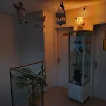 Hostel Viktoria Budget Zurich