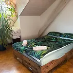 Urban Oasis - Attic In Iconic Langstrasse Apartment