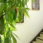 Bed & Breakfast Dakini's Bed & Breakfast