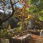 Garden Studio Zurichberg Zurich