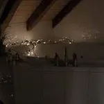 Le Bijou Lintheschergasse / Hb Apartment Zurich