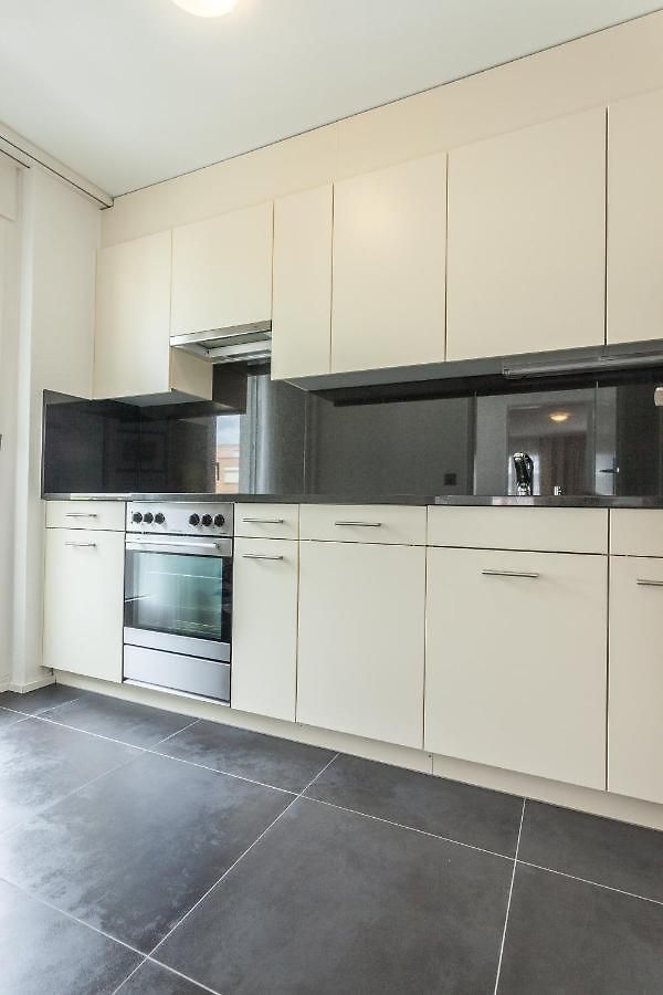 Ema House Serviced Aussersihl Apartment Zürich