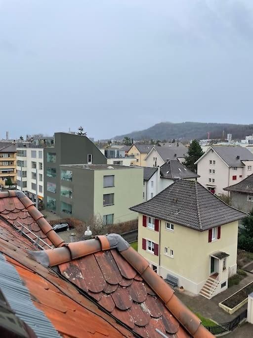 Apartment Gemuetliche & Zentrale In Der Stadt Zurich