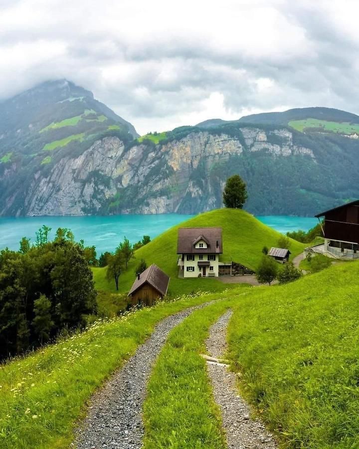 Homestay Lion Bb Swiss