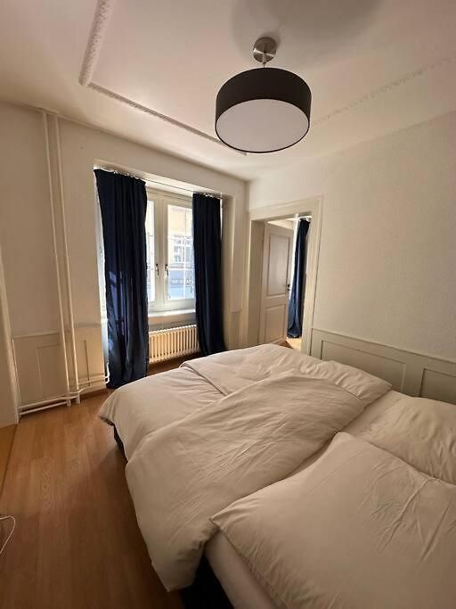 Apartment Cozy In Oldtown Zurich5