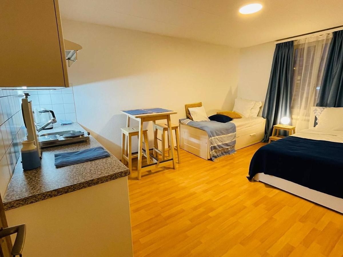 Apartment Cozy Zurich