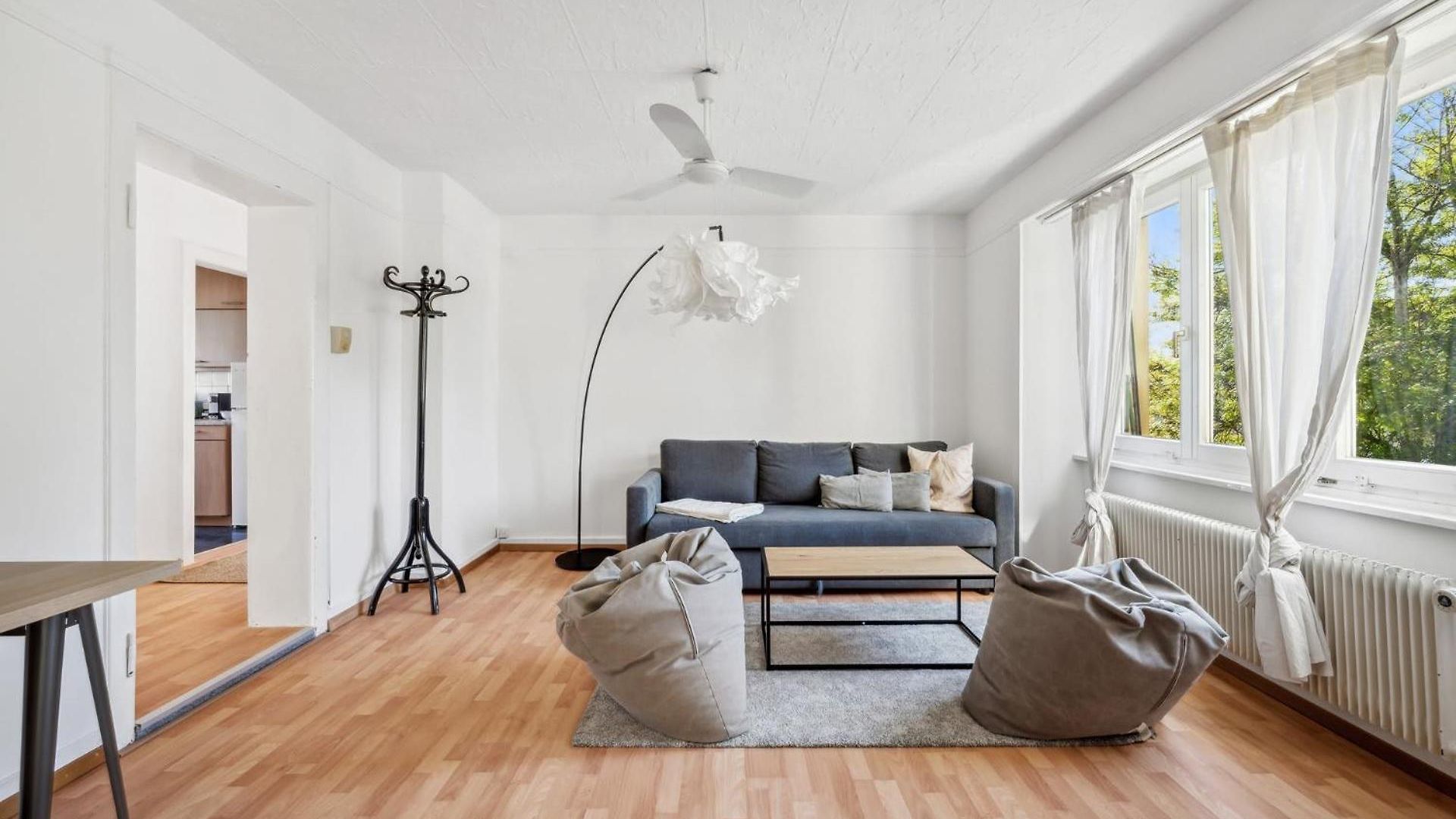 Apartment Homey Comfort In Oerlikon