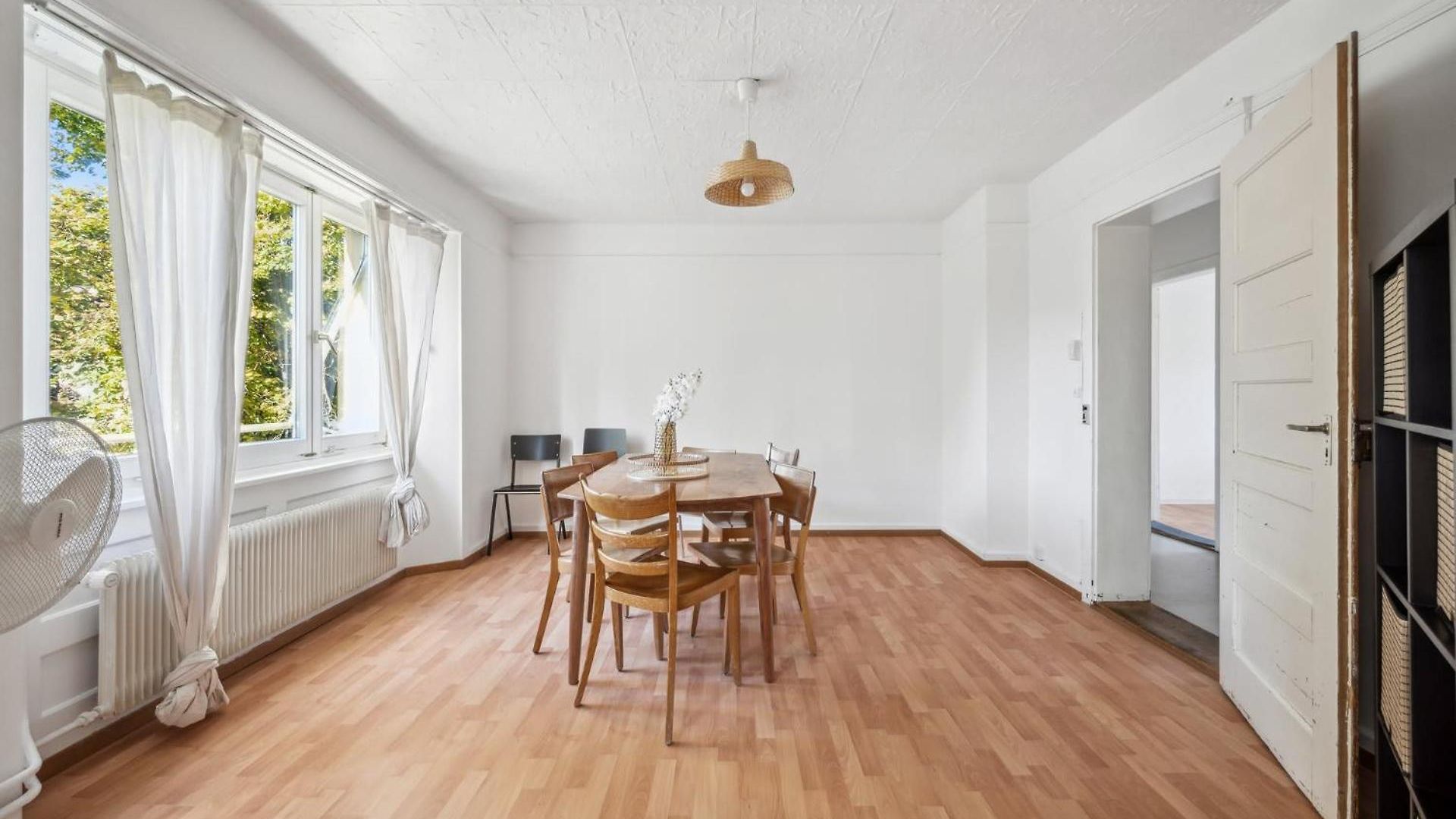 Homey Comfort In Oerlikon Apartment *
