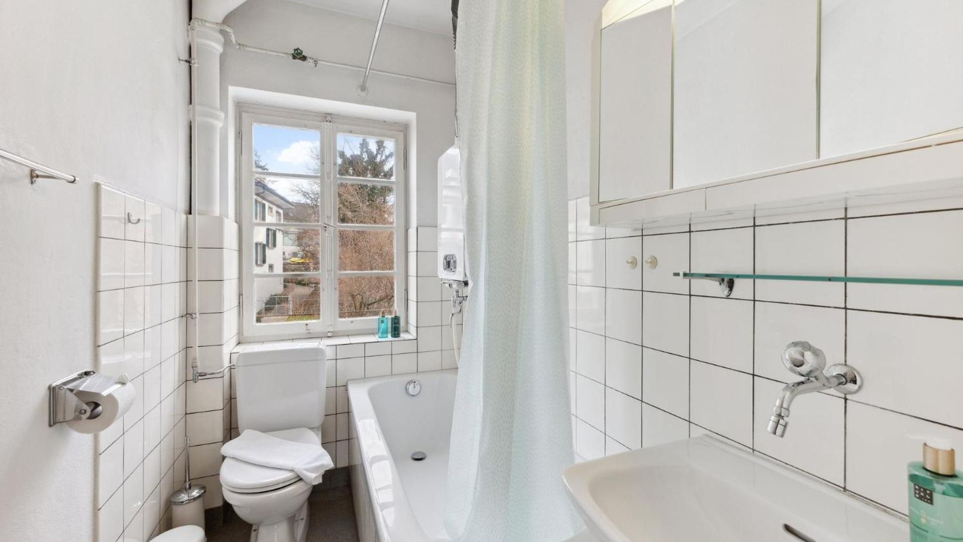 Apartment Homey Comfort In Oerlikon Zurich