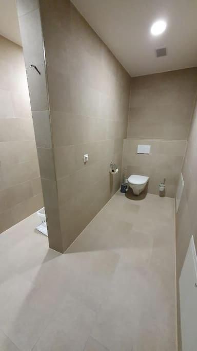 Wollishofen Station 2 Bedroom Luxury Apartment