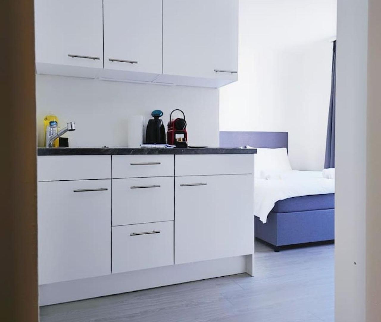 Urban Oasis With Queen Bed And View Be-38 * Zürich