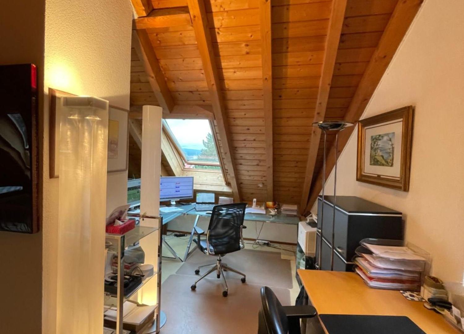 Apartment Spacious And Stylish In Zurich