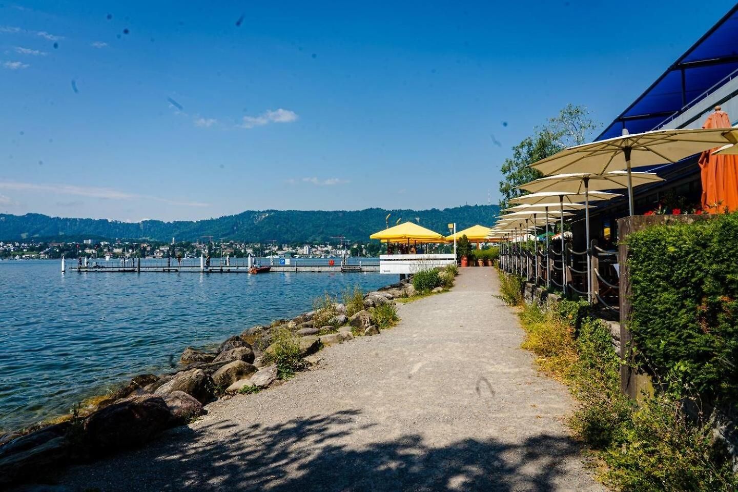 Stylish Garden-gem By Lake: Pet-friendly & Apartment *