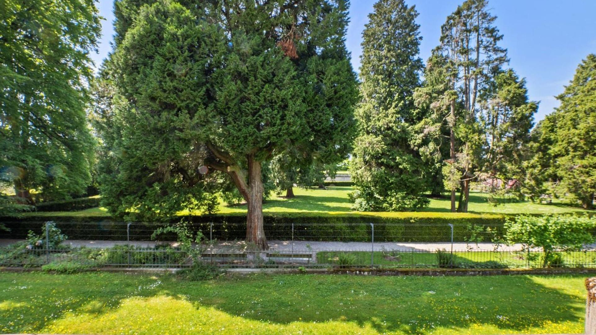 Apartment Beautiful Boutique Drahtzug14 Zurich