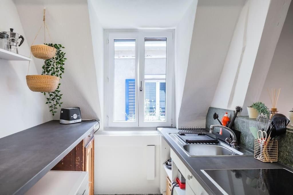 Apartment In Mit Dachterrasse // Langstrasse