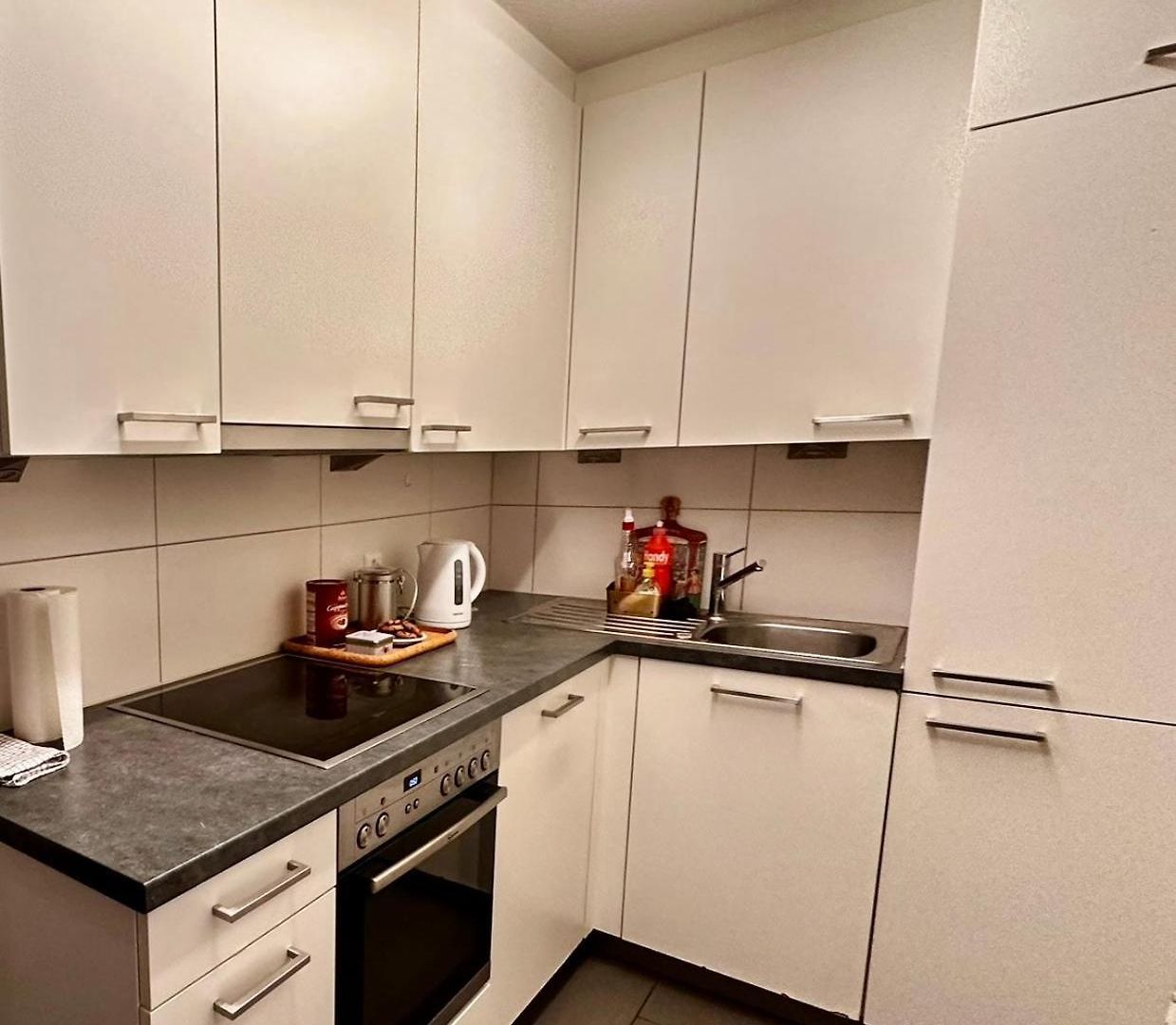 Spacious Apartment Zurich