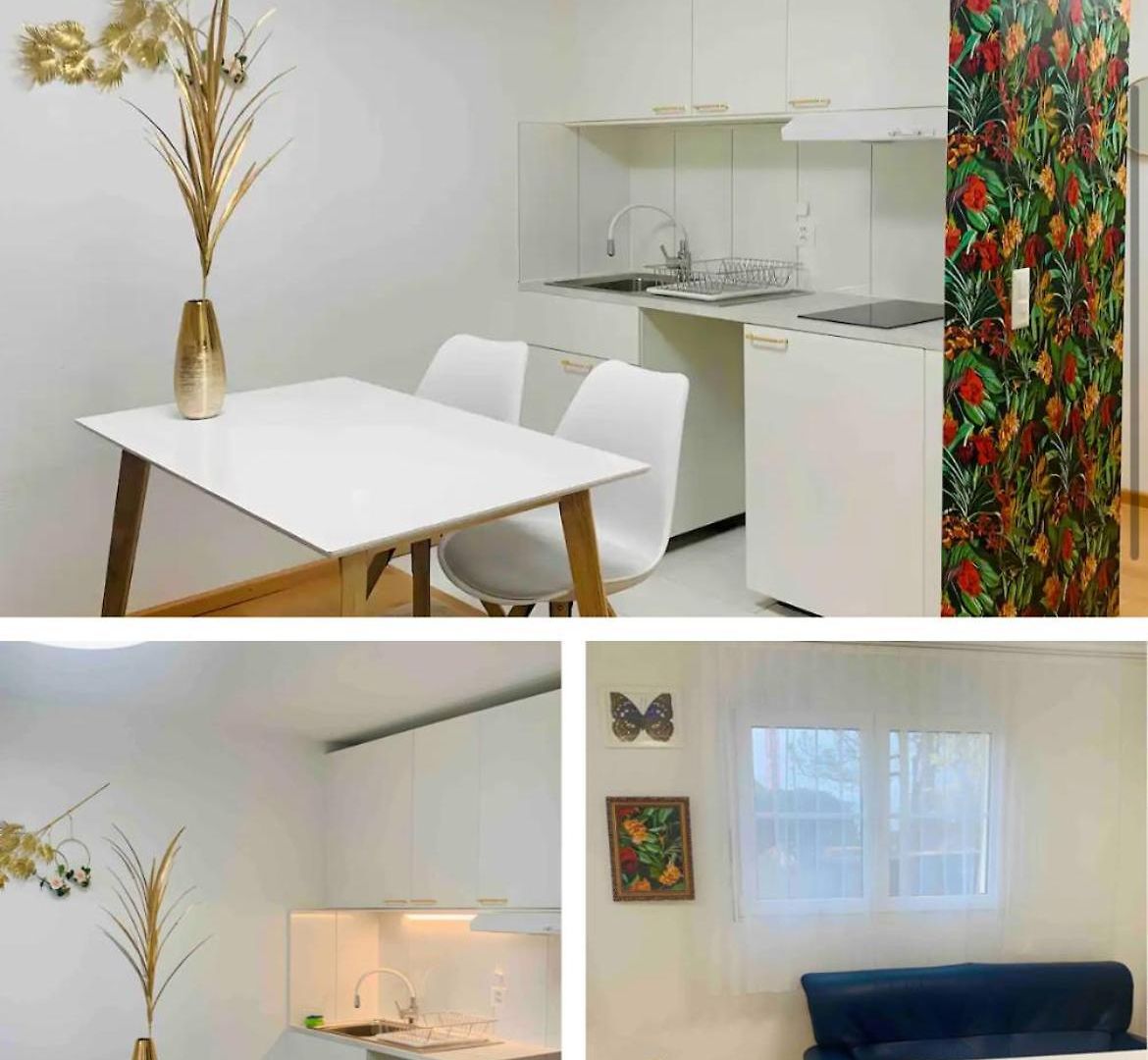25m2 With Kitchen In Zurich