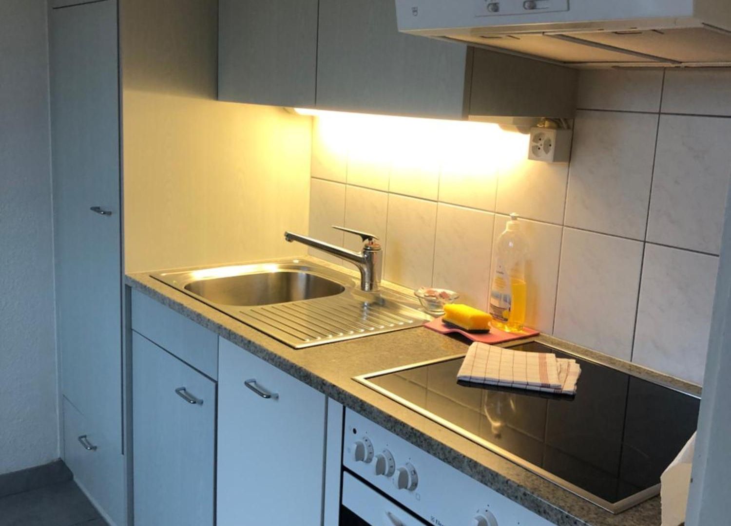 Apartment Cozy, Sunny, Center 1 Bedroom Flat Zurich