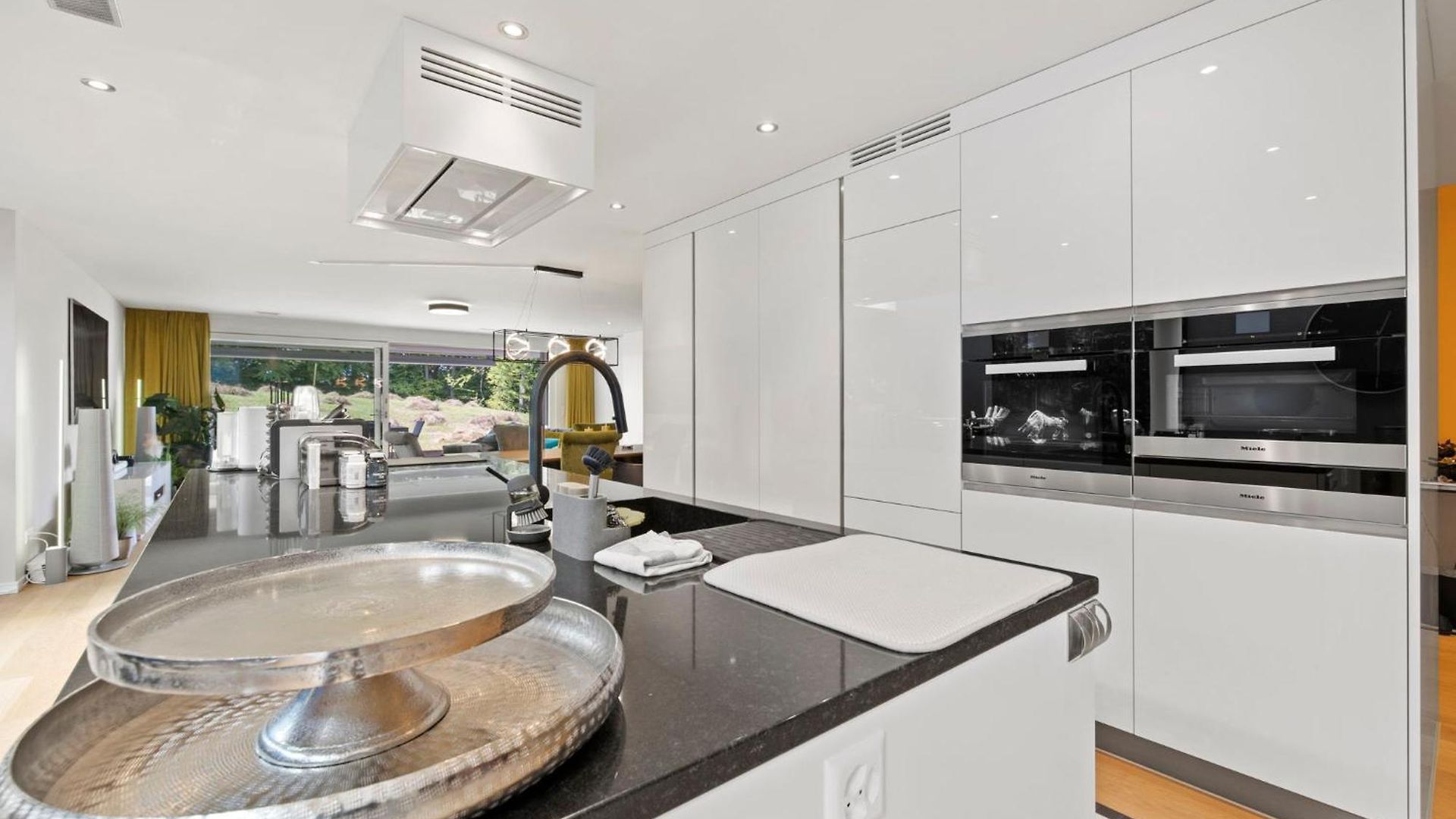Exclusive Spacious Apt. With Garden In Zurich